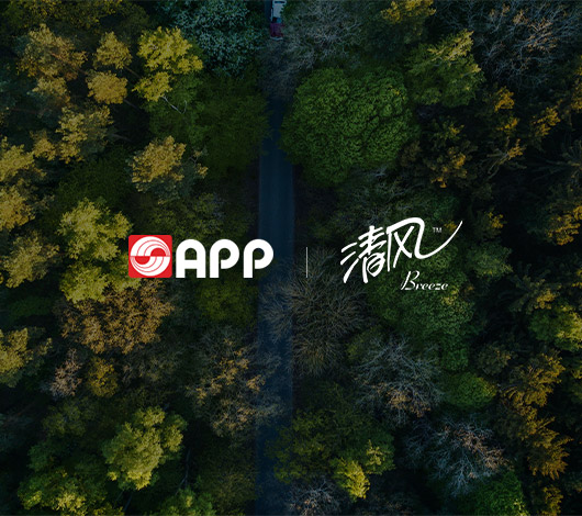 清风纸业-金光集团-集团91香蕉视频在线播放