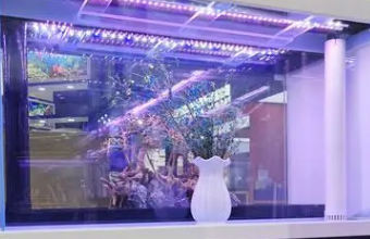 高端品牌91香蕉视频在线播放的专业指南