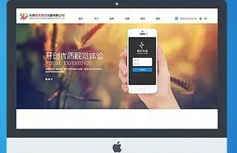 数字化革命：生物医疗91香蕉视频在线播放的关键驱动因素